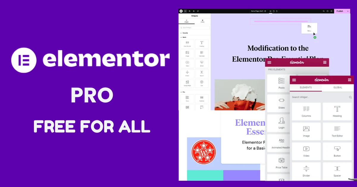 Elementor Pro
